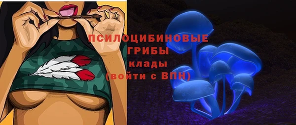 гашик Гусь-Хрустальный