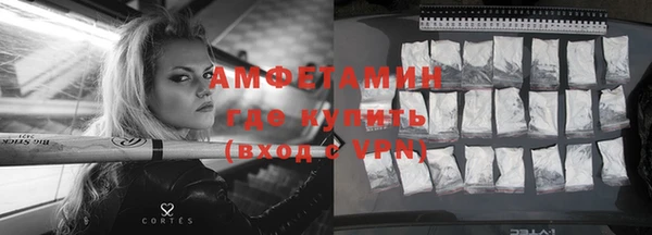 гашик Гусь-Хрустальный