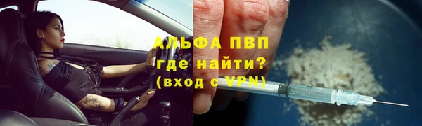гашик Гусь-Хрустальный
