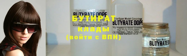 гашик Гусь-Хрустальный