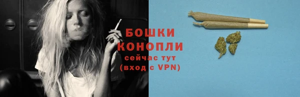 гашик Гусь-Хрустальный