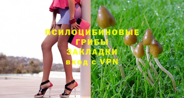 гашик Гусь-Хрустальный
