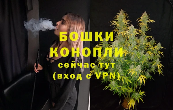 гашик Гусь-Хрустальный