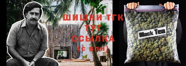 гашик Гусь-Хрустальный