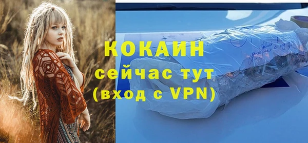 гашик Гусь-Хрустальный