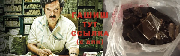гашик Гусь-Хрустальный